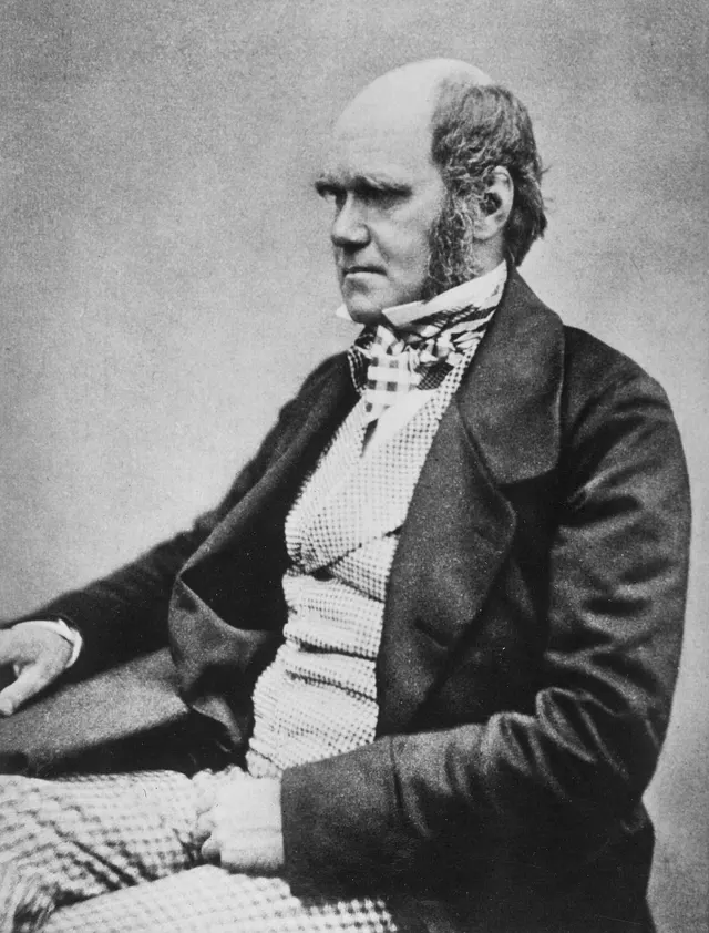 Charles Darwin's Daily Routine