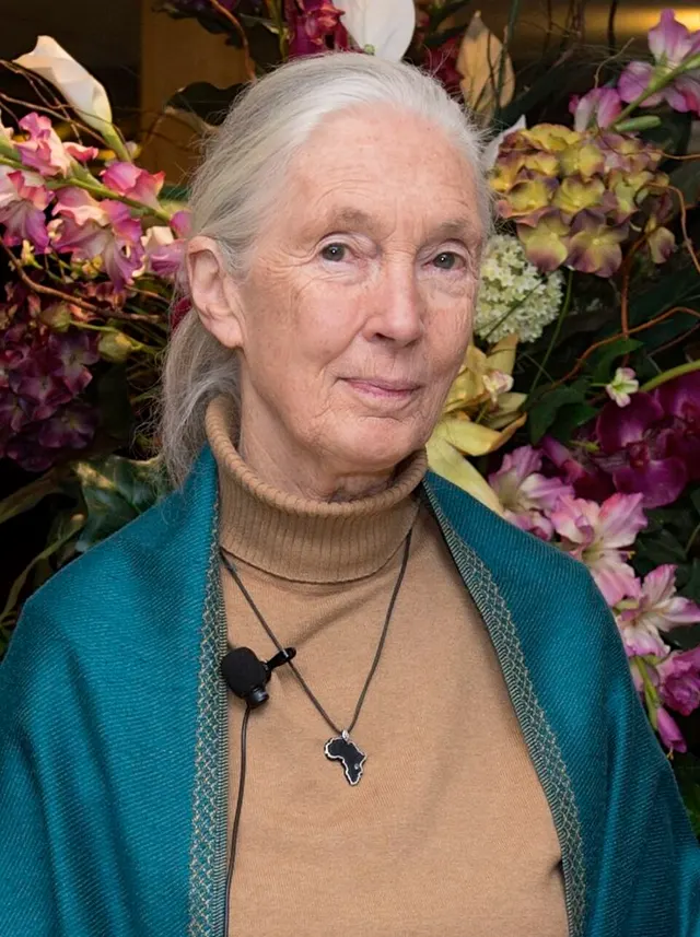 Jane Goodall's Daily Routine