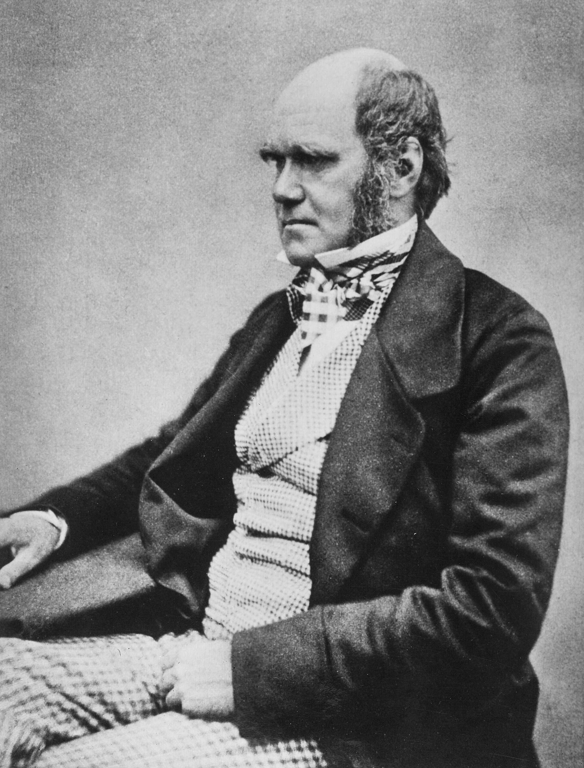 Charles Darwin's Daily Routine