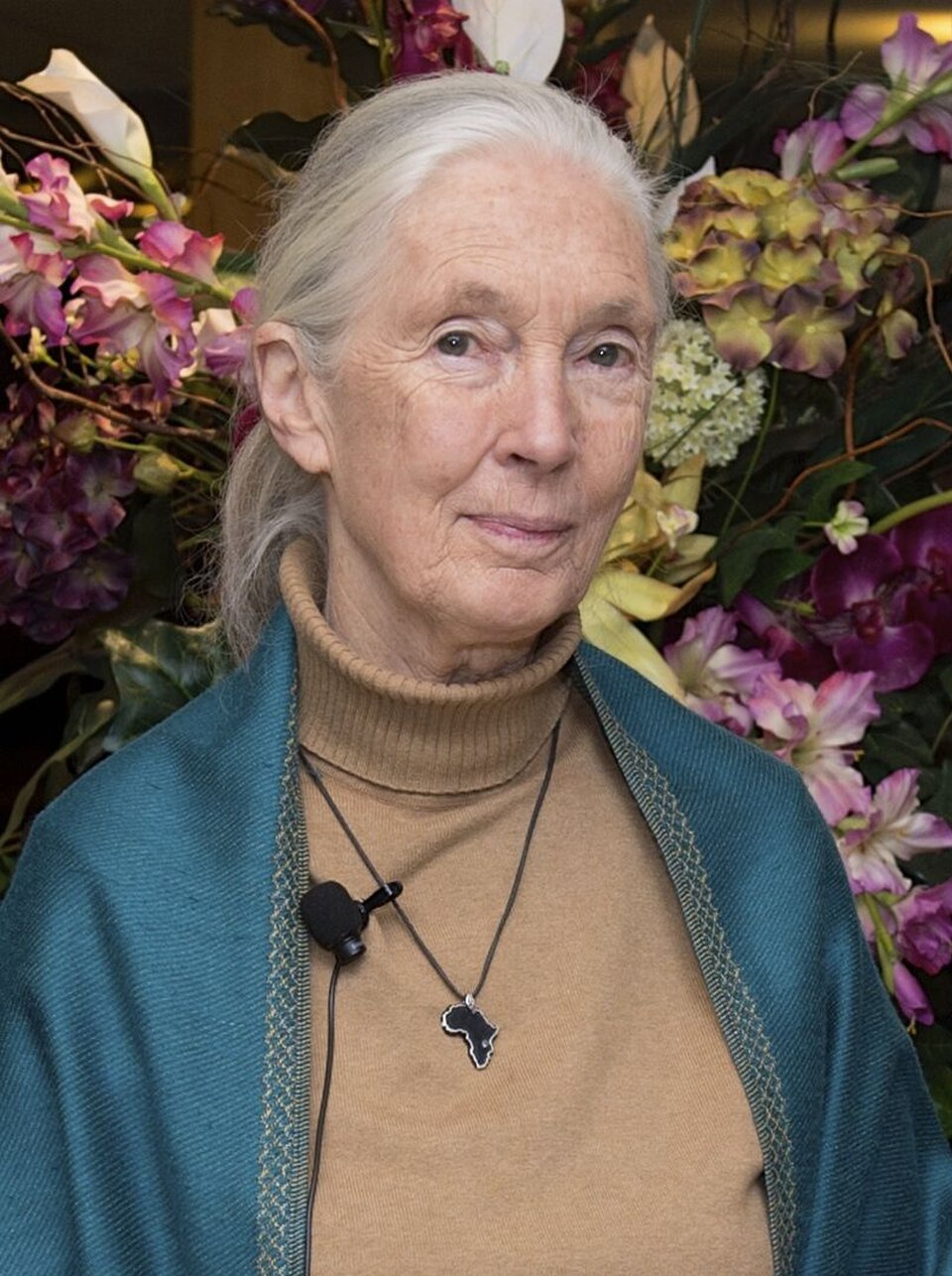 Jane Goodall's Daily Routine